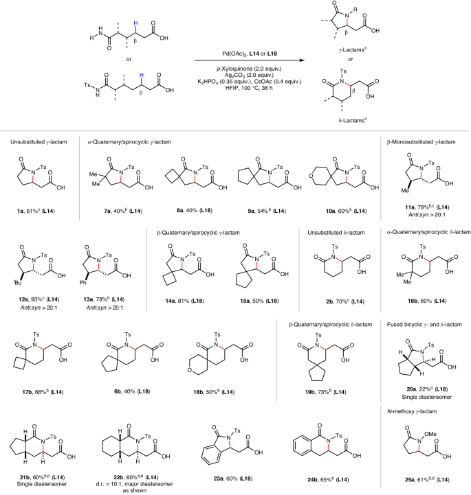 余金權，今日最新Nature Synthesis！