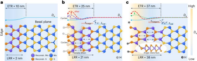 王翔/任斌/譚平恒Nature Catalysis：MoS2電催化析氫反應(yīng)中單個活性位點(diǎn)的可視化結(jié)構(gòu)演變