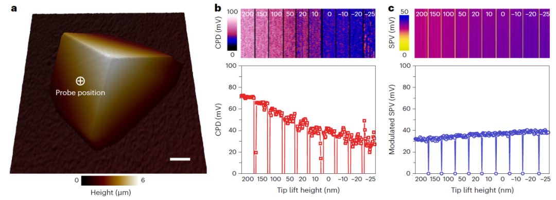 李燦院士團隊最新Nature Protocols：教你如何使用表面光電壓顯微鏡！