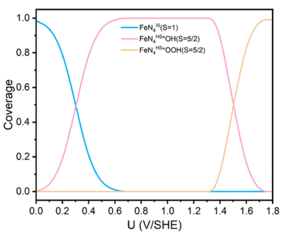 ACS Catalysis：Fe–N–C催化OER/ORR中自旋態(tài)演化的影響