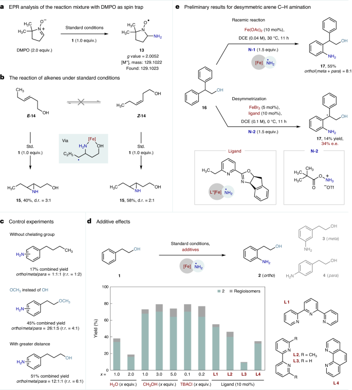 南開(kāi)大學(xué)Nature Catalysis: 鐵-氨基自由基實(shí)現(xiàn)高選擇性芳烴C-H胺化反應(yīng)