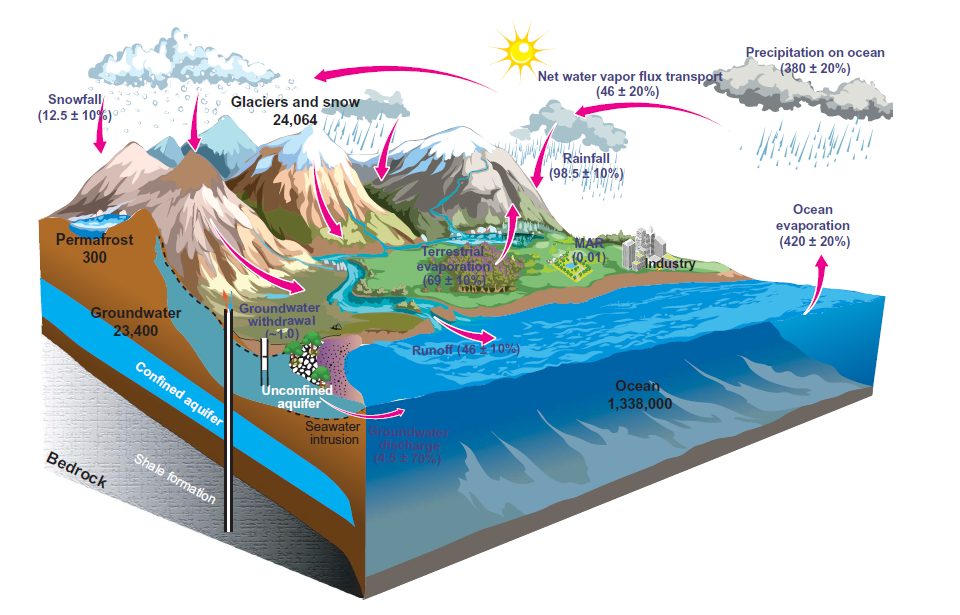 “水”一篇Science綜述！