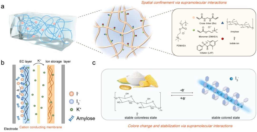 余桂華，最新AM！基于超分子相互作用，設(shè)計(jì)雙穩(wěn)態(tài)電致變色離子凝膠，用于節(jié)能顯示！