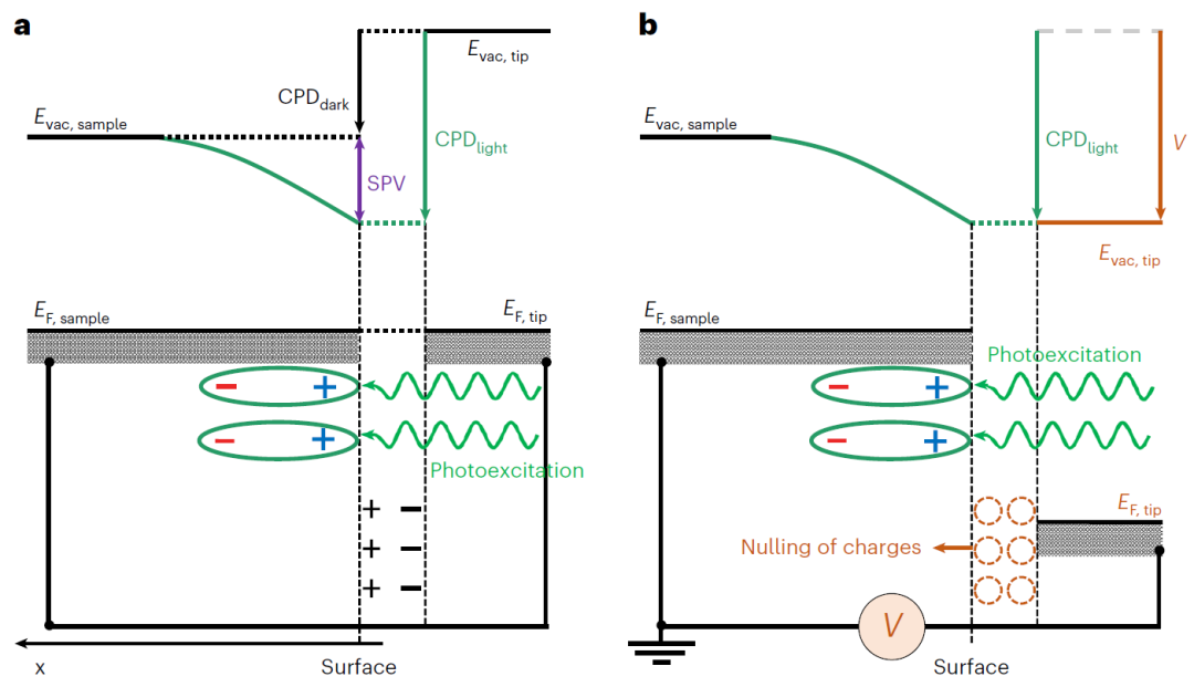 李燦院士團隊最新Nature Protocols：教你如何使用表面光電壓顯微鏡！