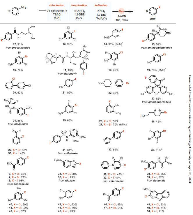 德國馬普所最新Science，破解170年難題！