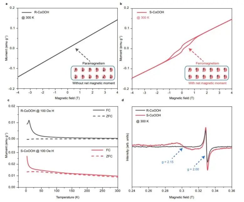 Nature子刊：CoOOH中引入高自旋態(tài)Co3+，顯著提升水氧化活性