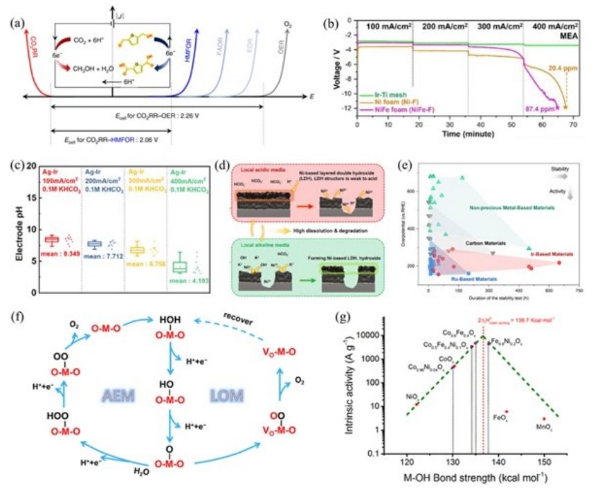 香港中文大學余濟美教授，最新AM綜述：酸性CO2RR電催化劑！