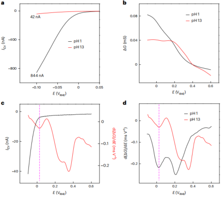 神仙眷侶！段鑲鋒&黃昱夫婦攜手，最新Nature Catalysis！