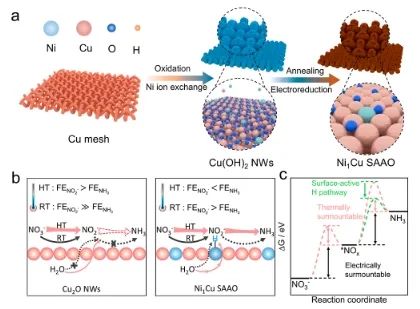 ?余桂華/李盼盼/晉兆宇JACS: 熱耦合電化學(xué)策略立大功，顯著增強(qiáng)單原子合金氧化物NO3RR活性