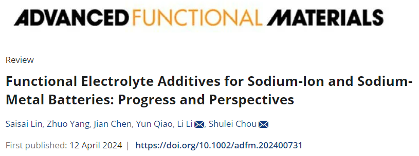 侴術(shù)雷/李麗最新AFM綜述：鈉電池電解液添加劑！