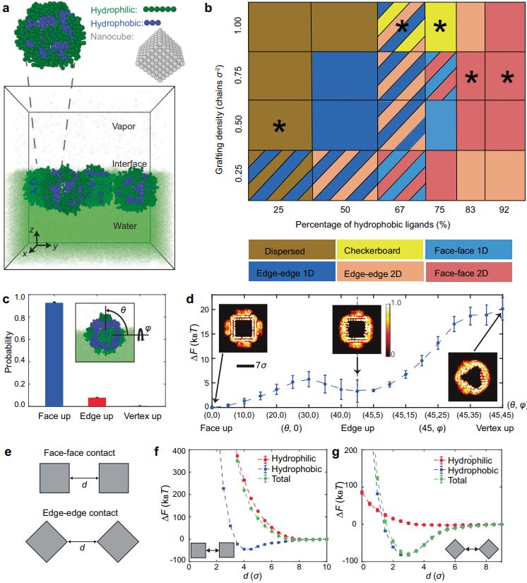 最新Nature子刊：理論計(jì)算引導(dǎo)，納米晶自組裝策略！