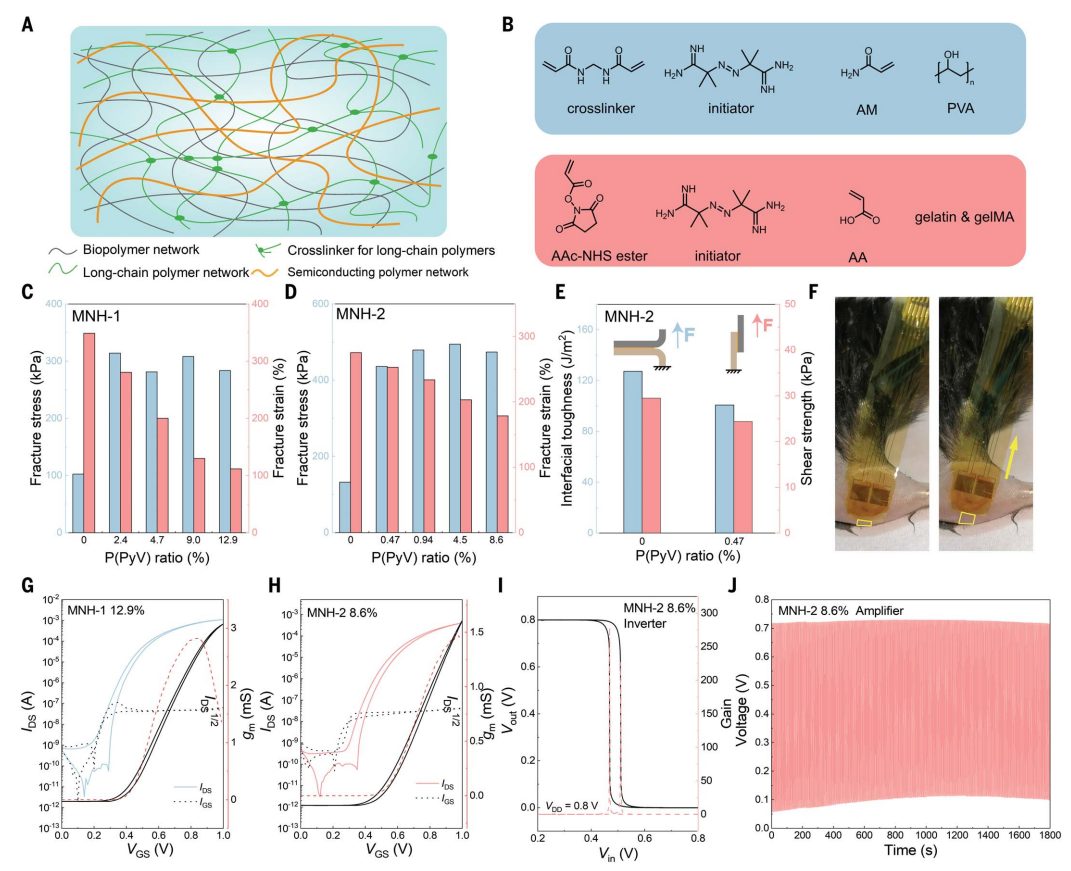 ?贊！鮑哲南高徒，北京大學雷霆研究員，最新Science！