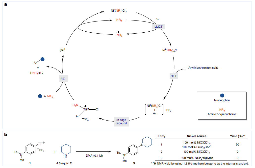 Ni催化，重磅Nature Catalysis！