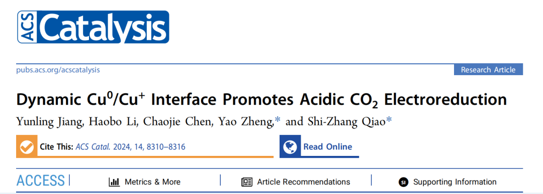 喬世璋?院士團隊，最新ACS Catalysis！