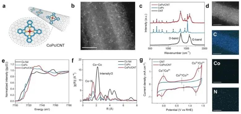 ?清華大學(xué)JACS：節(jié)能且高效，多功能分子催化劑助力乙烯一步電化學(xué)轉(zhuǎn)化為乙二醇