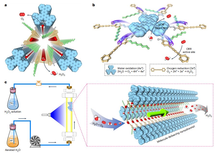 COFs大咖！新加坡國立江東林最新Nature Synthesis！