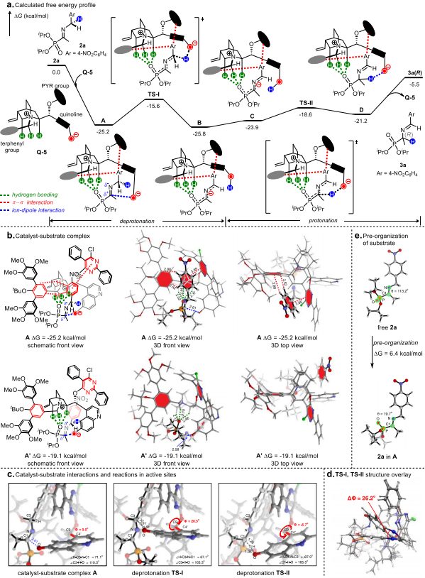 西湖大學(xué)鄧力，最新JACS：手性α-氨基膦酸酯的合成！