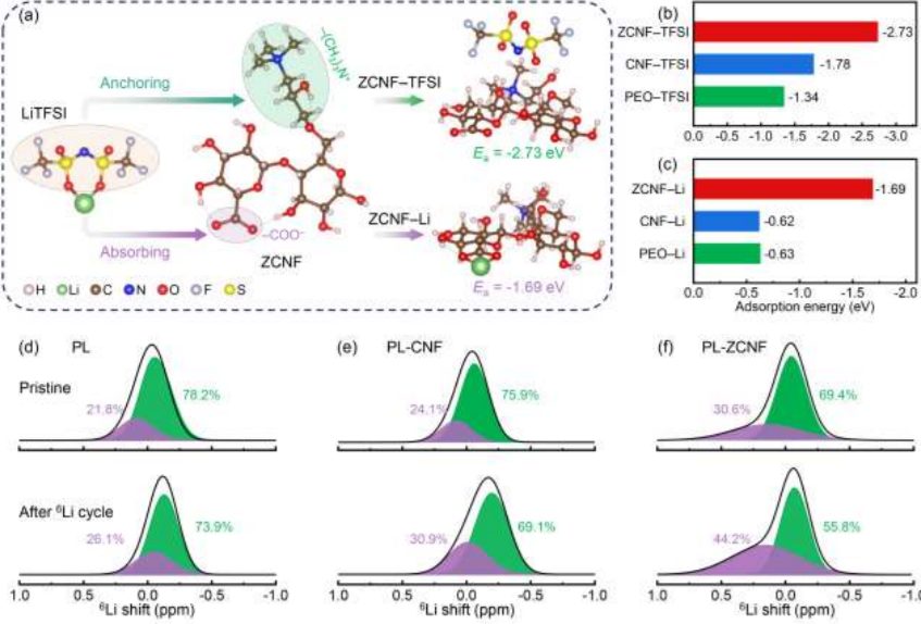 廈門大學(xué)王鳴生Angew：水系澆鑄法革新固態(tài)電解質(zhì)