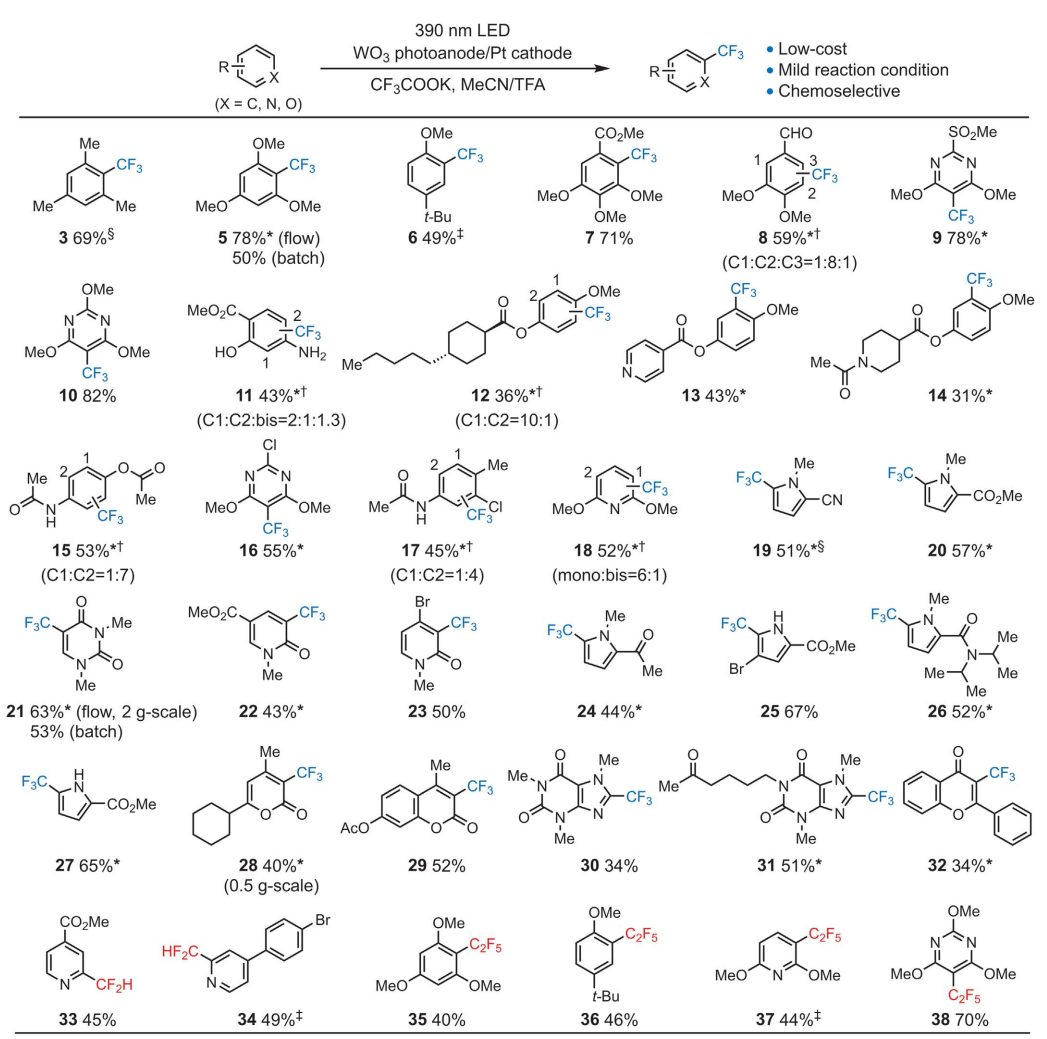 光電催化，最新Science！