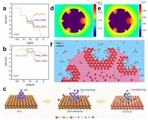 IF=46.2！海南大學(xué)田新龍/鄧培林，最新Chemical Society Reviews綜述！