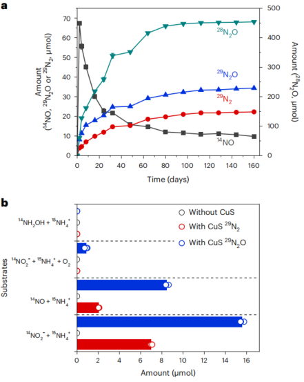 「國家高層次青年人才」一作兼通訊，重磅Nature Chemistry！