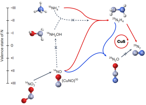 「國家高層次青年人才」一作兼通訊，重磅Nature Chemistry！