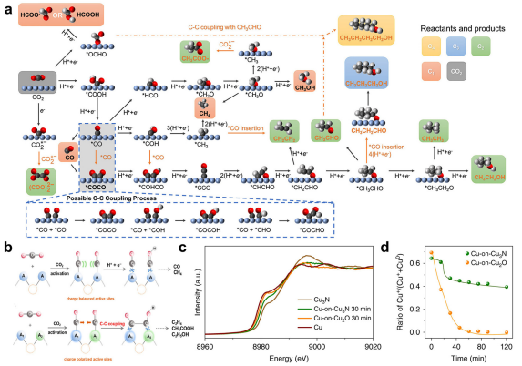 IF=46.2！海南大學(xué)田新龍/鄧培林，最新Chemical Society Reviews綜述！