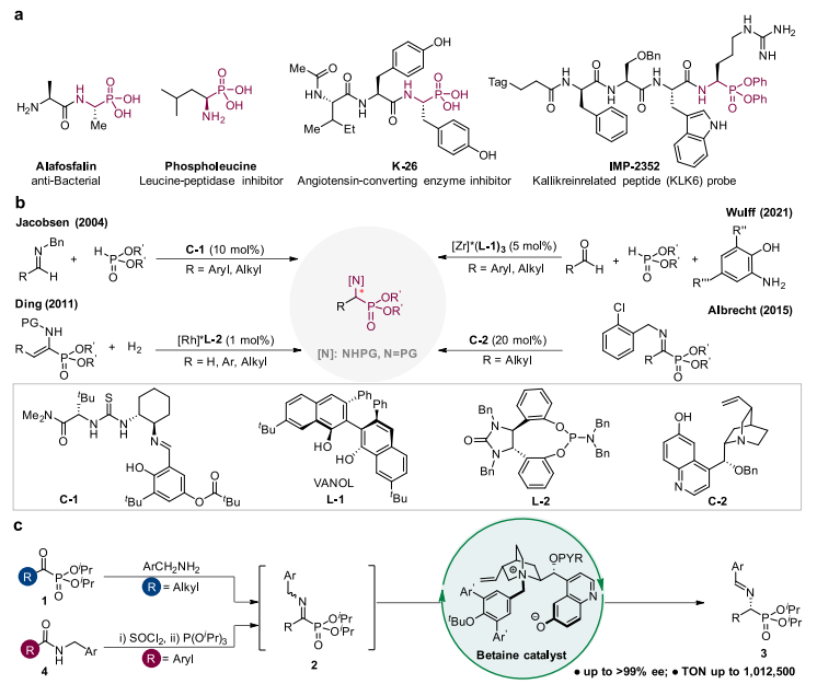 西湖大學(xué)鄧力，最新JACS：手性α-氨基膦酸酯的合成！