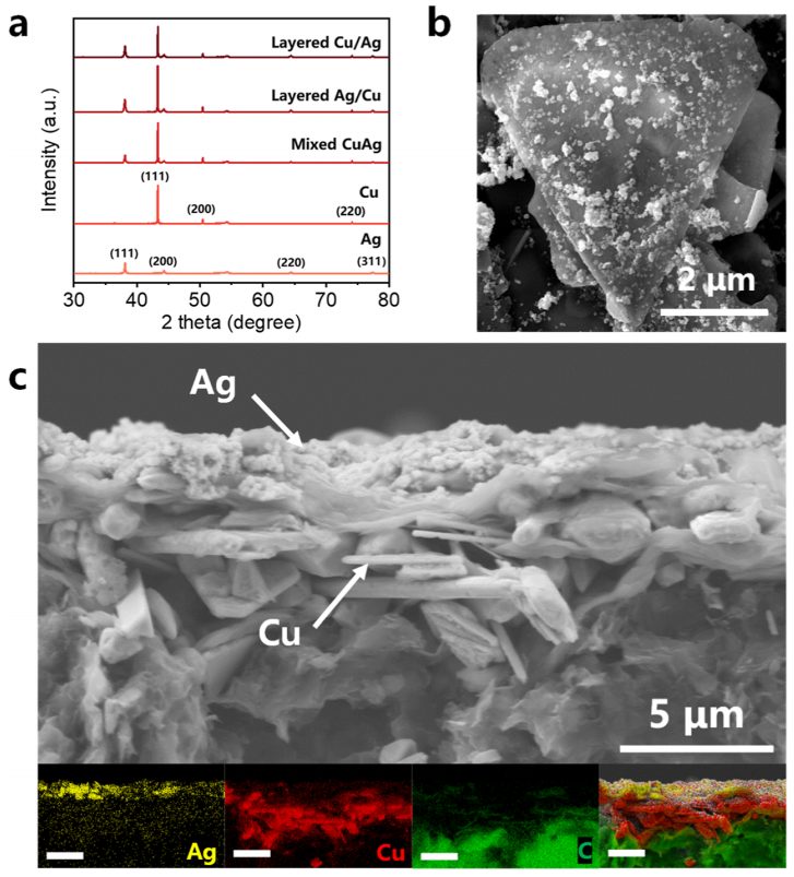 李燦院士，最新ACS Catalysis！