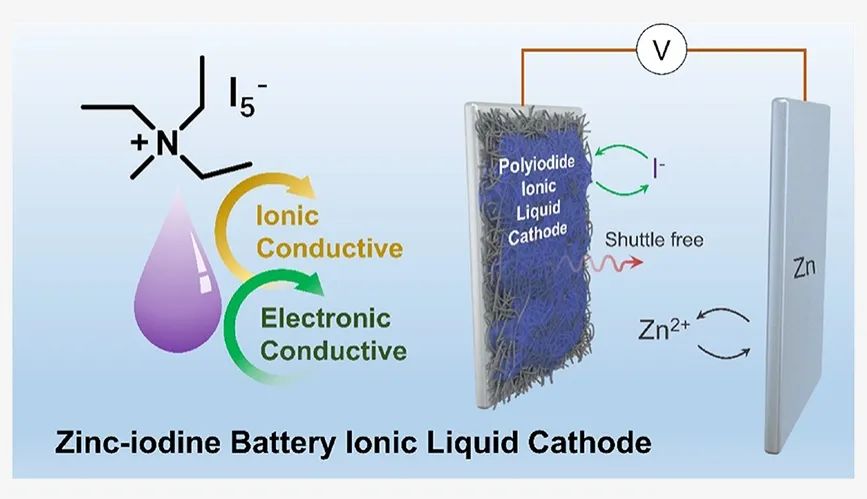 ?西交JACS：高導(dǎo)電聚碘離子液體正極實(shí)現(xiàn)高容量雙鍍層鋅-碘電池