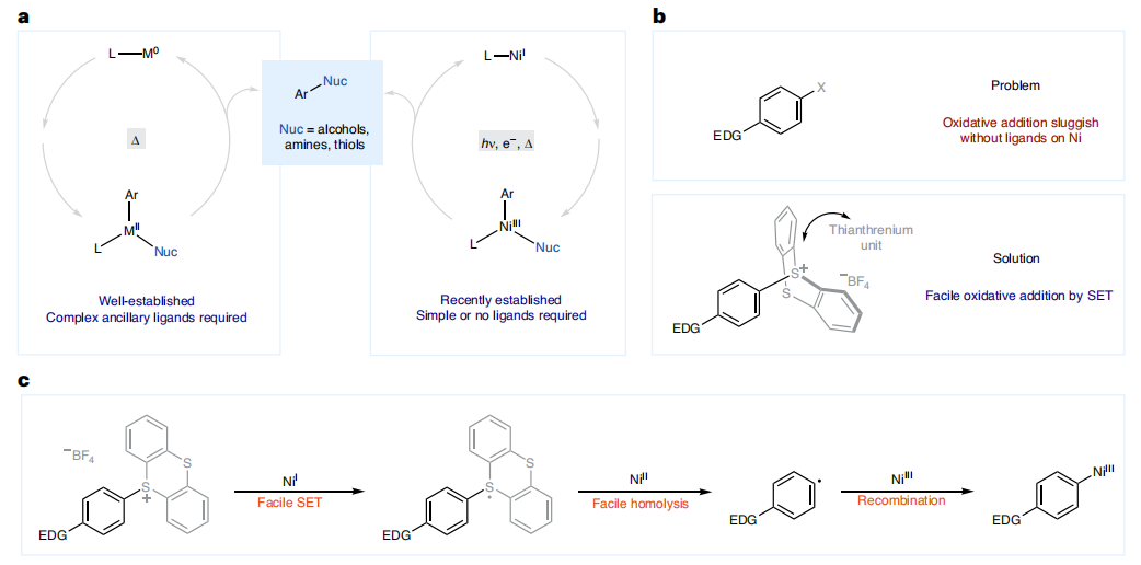 Ni催化，重磅Nature Catalysis！