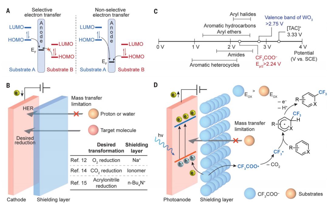 光電催化，最新Science！