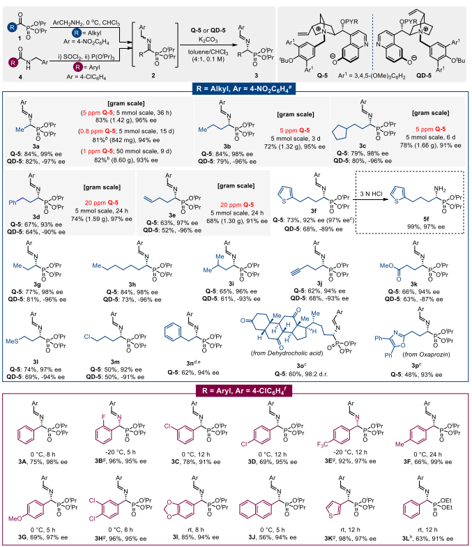 西湖大學(xué)鄧力，最新JACS：手性α-氨基膦酸酯的合成！