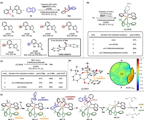 他，國家杰青/優(yōu)青、青年長江！最新JACS！