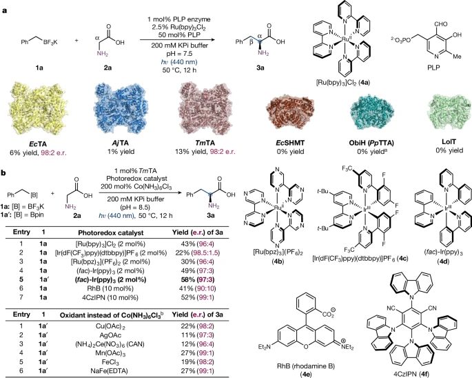 楊揚/劉鵬強強聯(lián)合！Science之后，再發(fā)Nature！