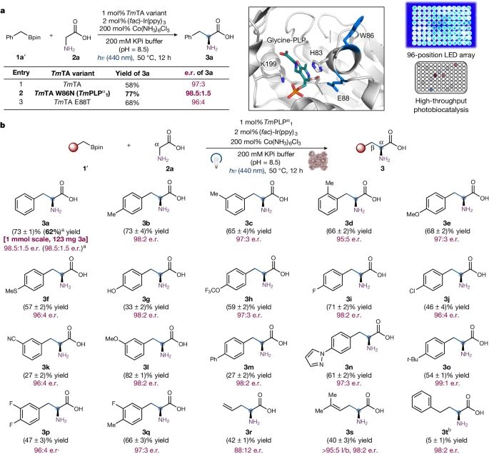 酶催化，最新Nature！