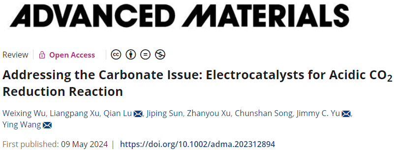 香港中文大學余濟美教授，最新AM綜述：酸性CO2RR電催化劑！