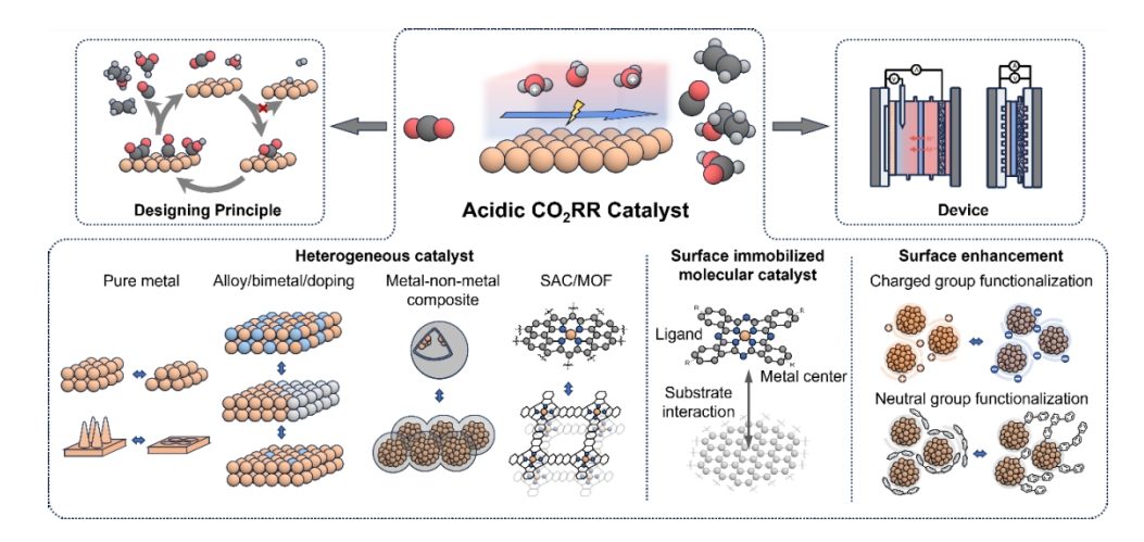 香港中文大學余濟美教授，最新AM綜述：酸性CO2RR電催化劑！