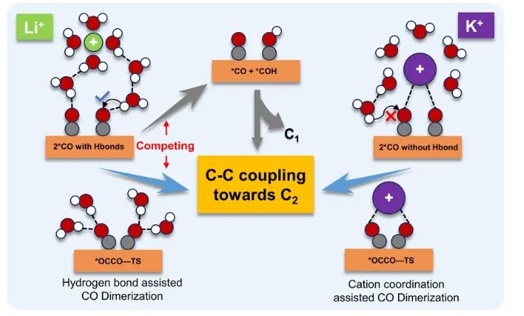 北大深研院JACS：陽離子誘導(dǎo)界面疏水微環(huán)境，促進CO2RR中C-C耦合