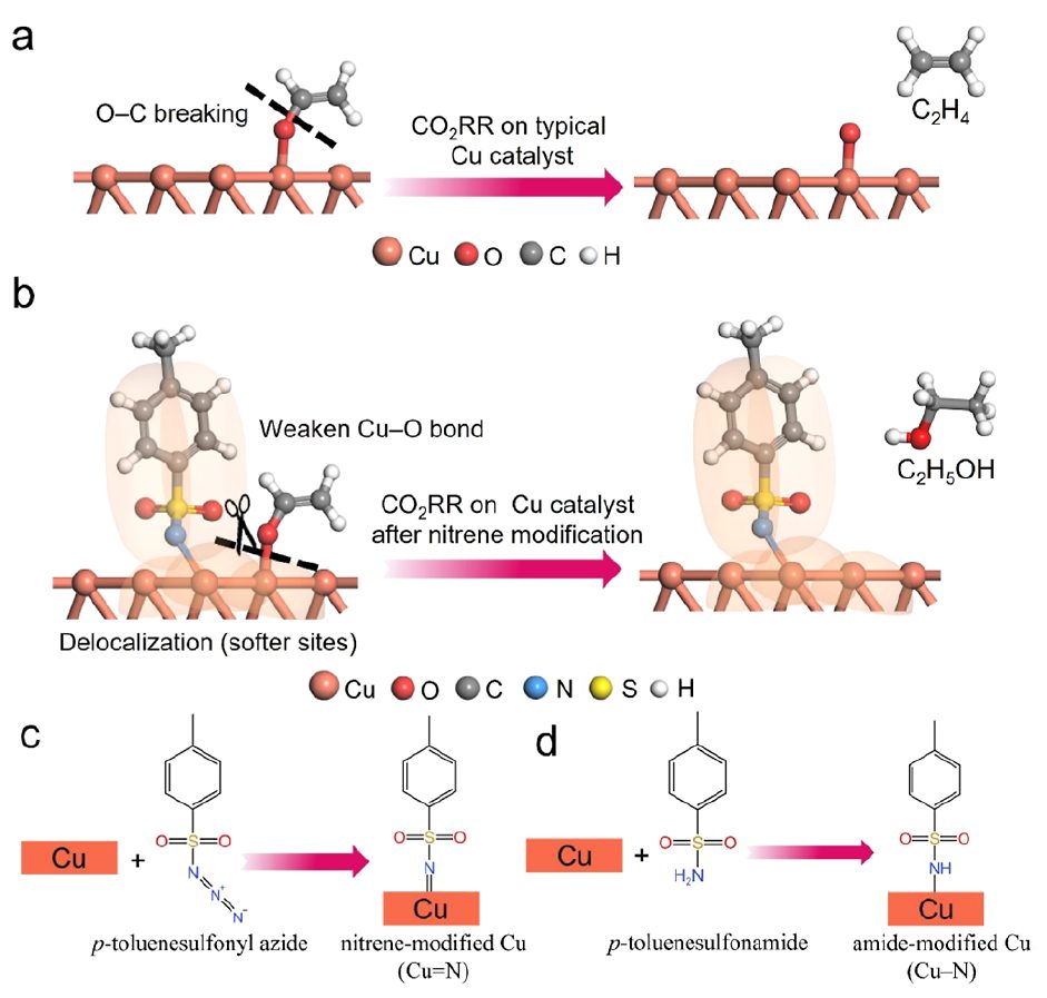 復旦大學鄭耿鋒團隊JACS：調(diào)節(jié)電子離域態(tài)，調(diào)控鍵裂解順序，將CO2還原轉(zhuǎn)化為乙醇！