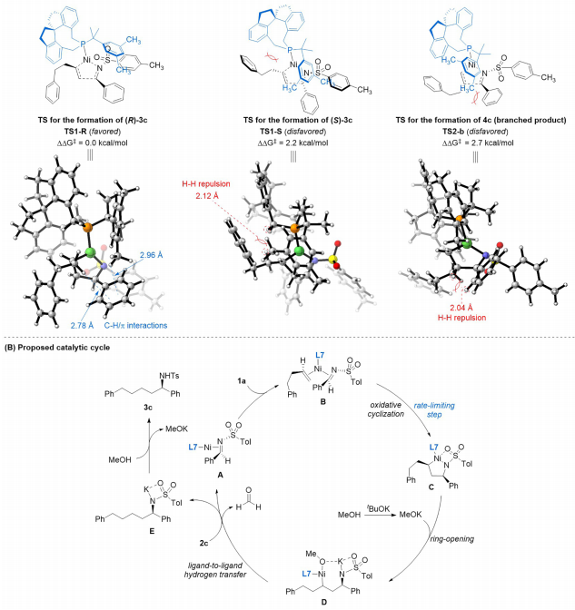 南開大學(xué)周其林院士團(tuán)隊(duì)，最新JACS！