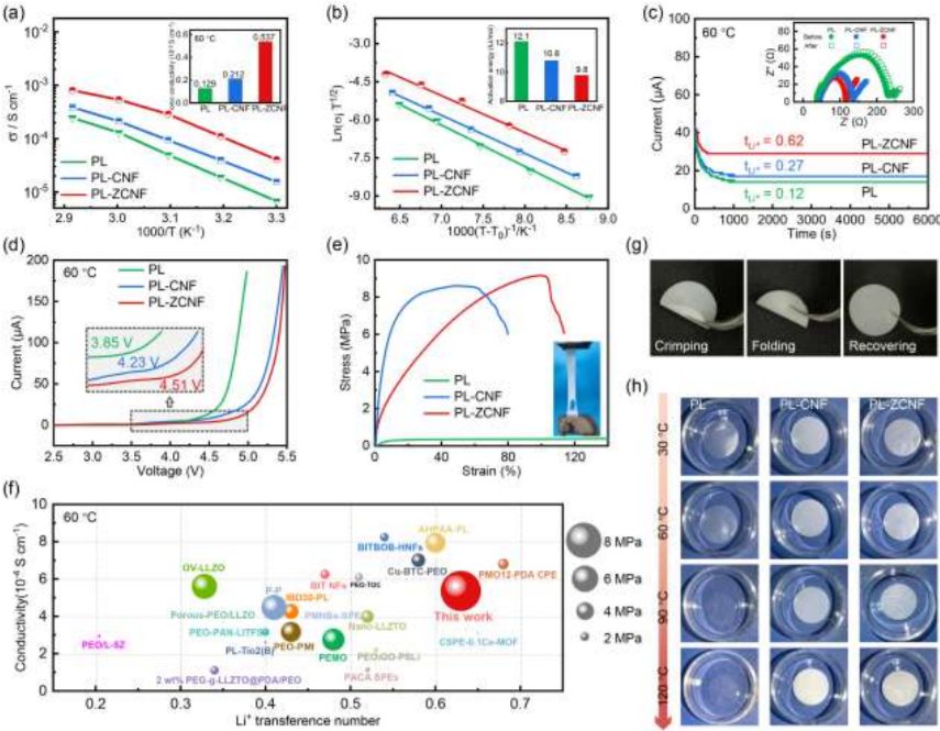 廈門大學(xué)王鳴生Angew：水系澆鑄法革新固態(tài)電解質(zhì)