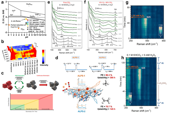 IF=46.2！海南大學(xué)田新龍/鄧培林，最新Chemical Society Reviews綜述！