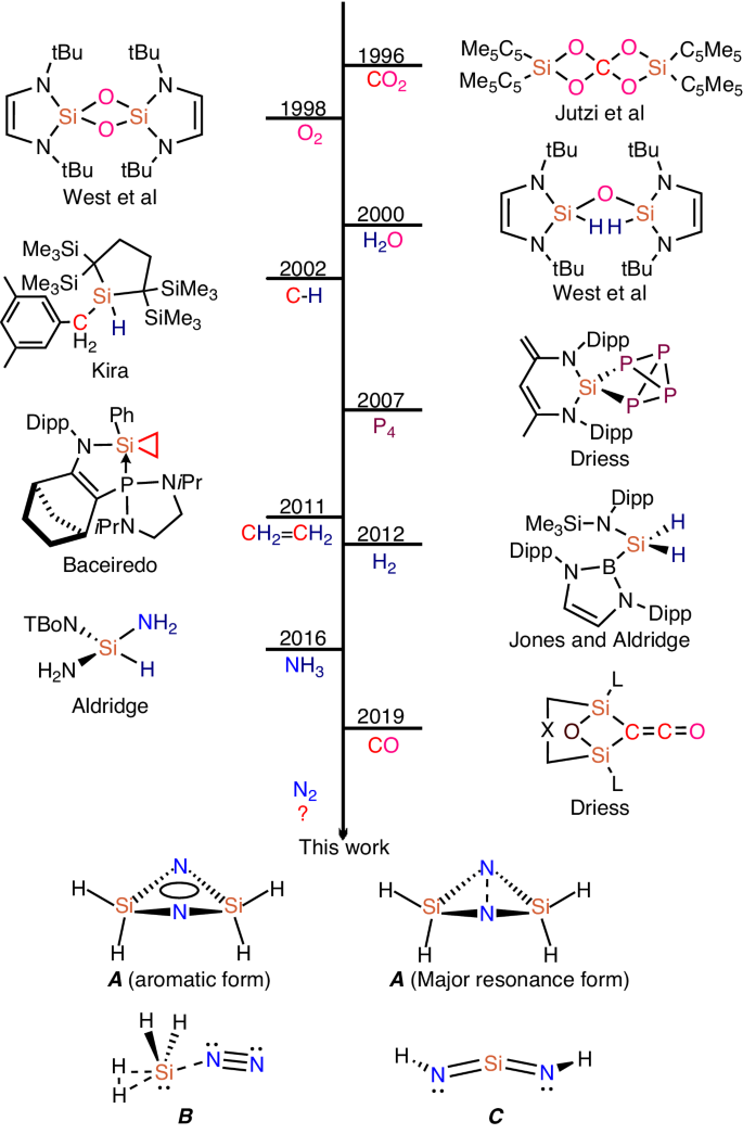 同濟(jì)大學(xué)王雪峰/徐斌，最新Nature子刊！