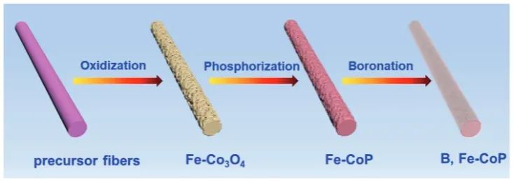 ?西北大學(xué)AFM: B和Fe雙摻雜誘導(dǎo)晶格氧機制，強化堿性淡水和海水氧化活性