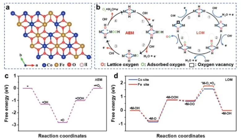 ?西北大學(xué)AFM: B和Fe雙摻雜誘導(dǎo)晶格氧機制，強化堿性淡水和海水氧化活性