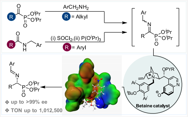 西湖大學(xué)鄧力，最新JACS：手性α-氨基膦酸酯的合成！