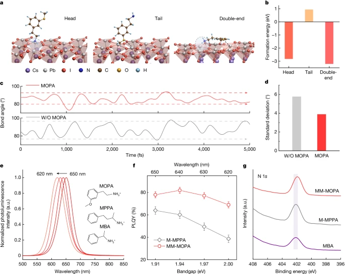 上海大學(xué)，2024年最新Nature！