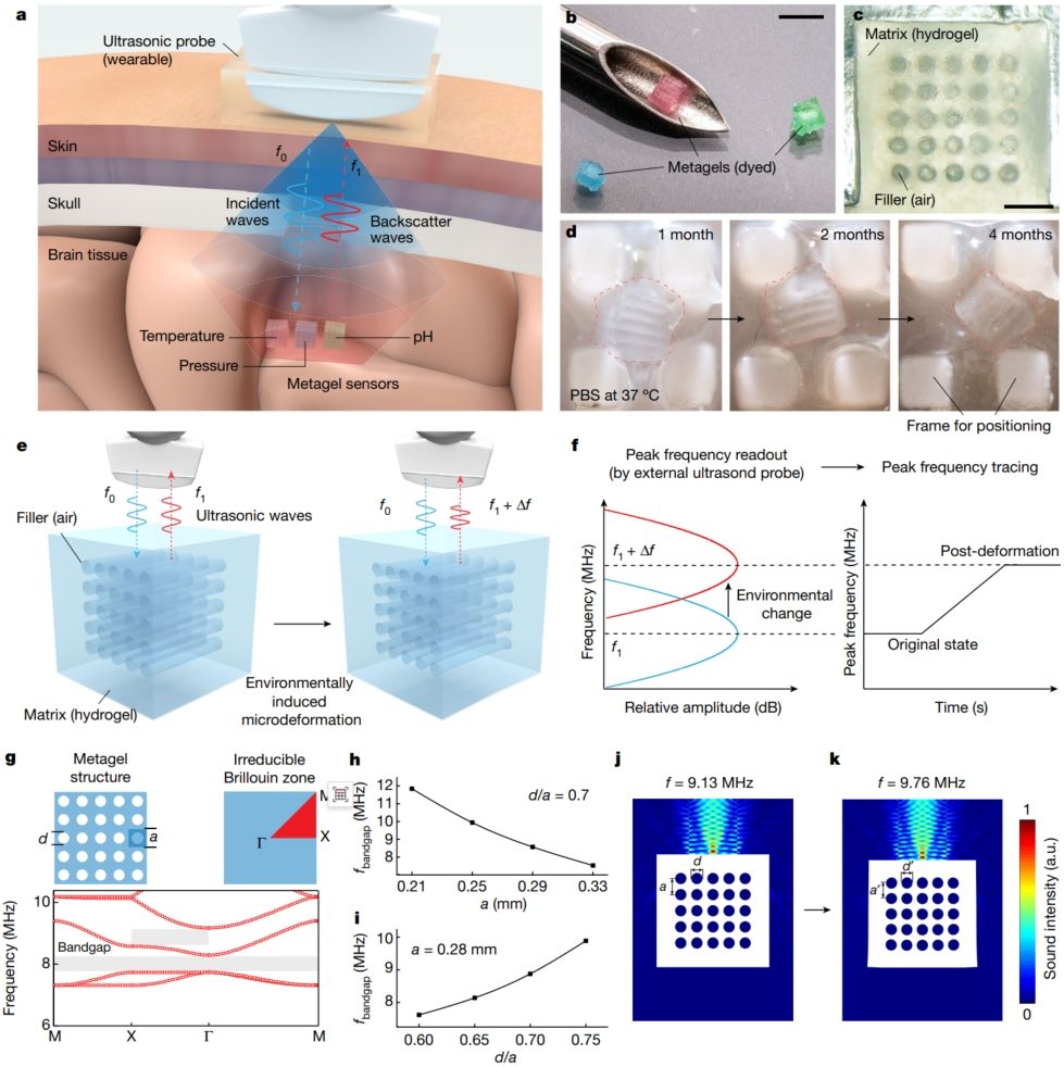 華中科技大學，最新Nature！