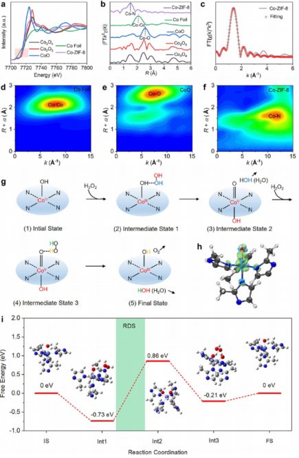 施劍林院士，最新JACS！催化讓你健康!